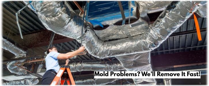Air Duct Mold Removal in Dallas