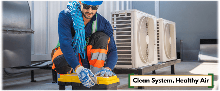 HVAC Mold Removal Dallas
